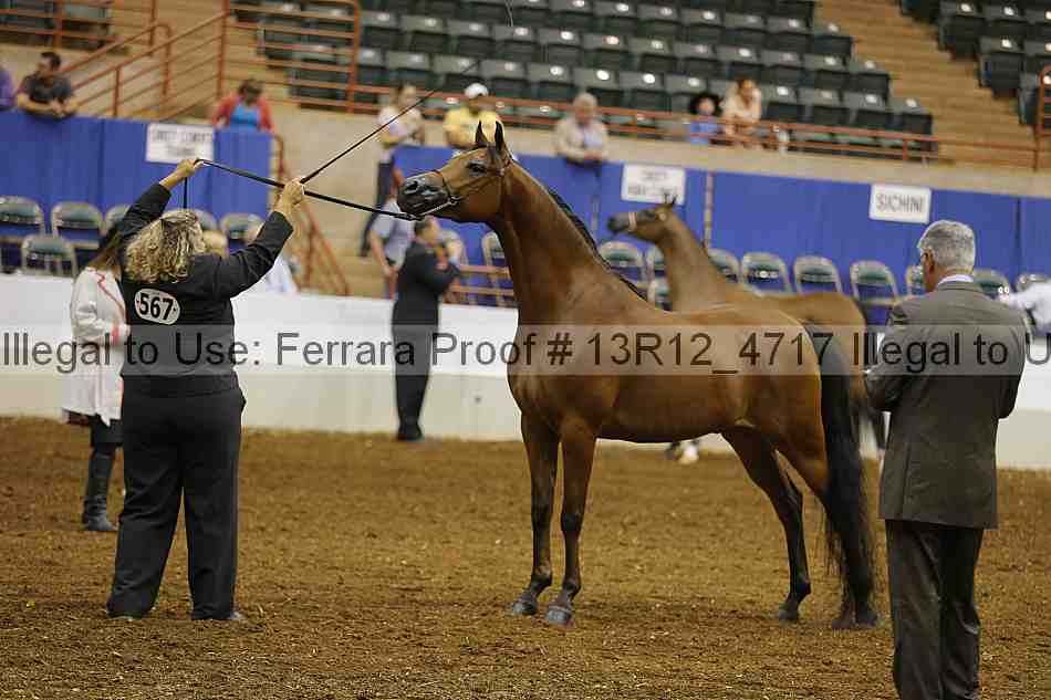 Proof 13r12_4717