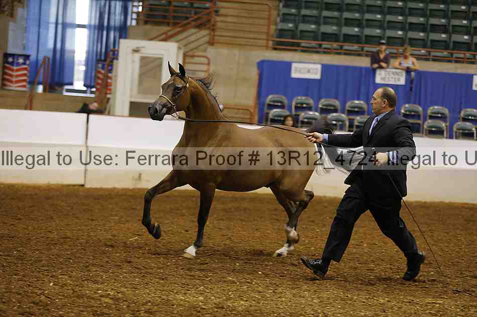 Proof 13r12_4724