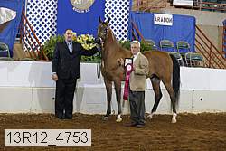 13r12_4753 proof