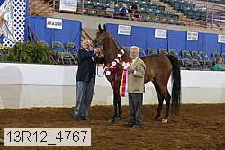 13r12_4767 proof