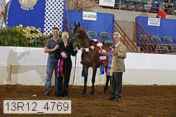13r12_4769 proof