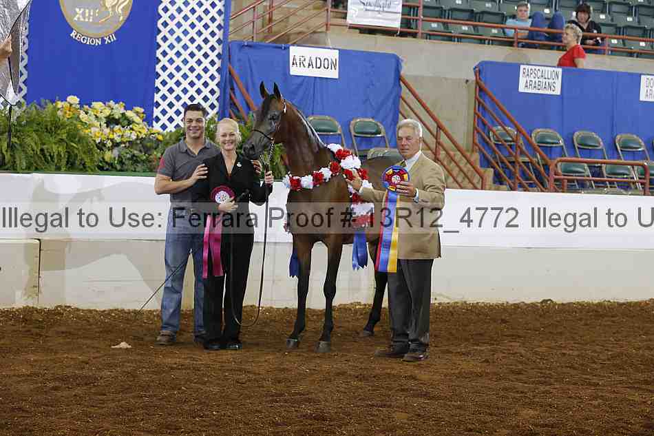 Proof 13r12_4772