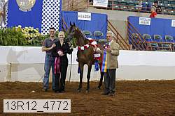 13r12_4772 proof