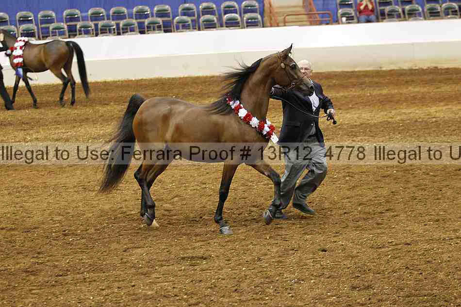 Proof 13r12_4778