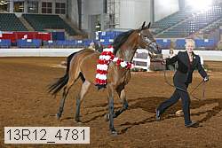 13r12_4781 proof