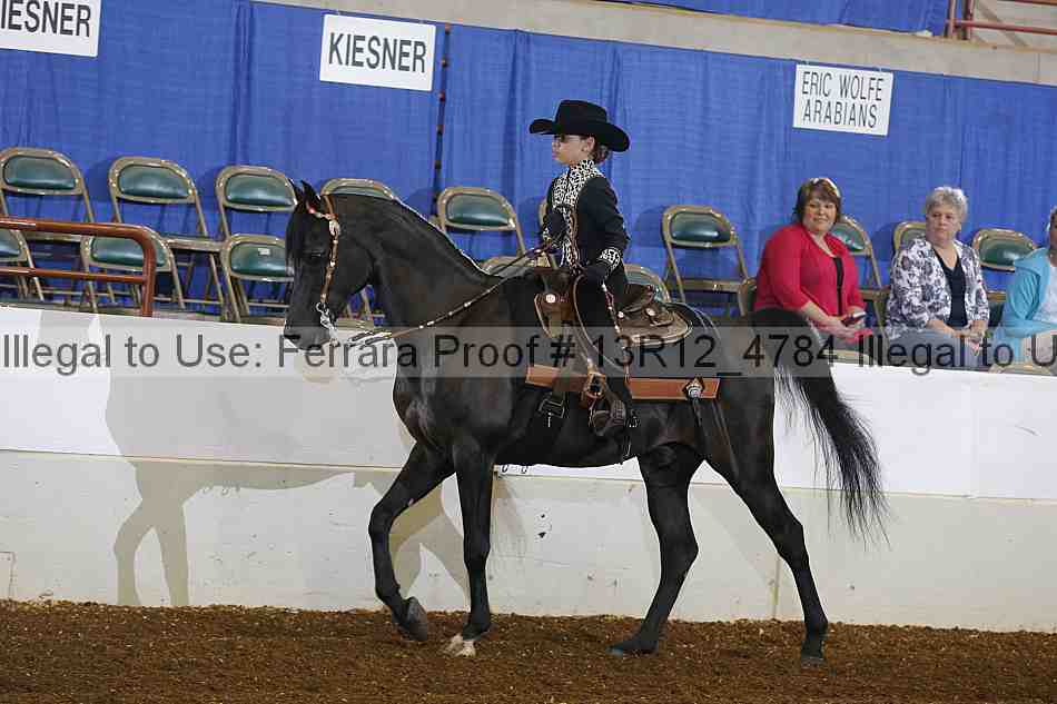 Proof 13r12_4784