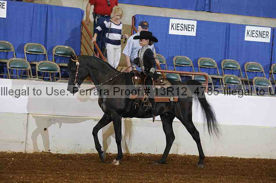 Proof 13r12_4785