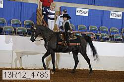 13r12_4785 proof