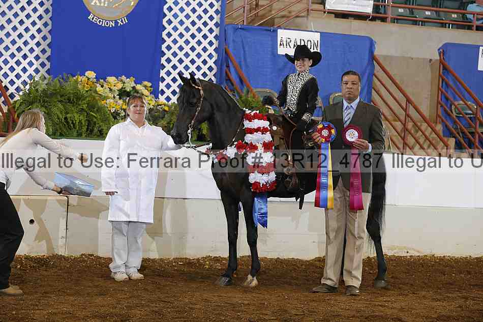 Proof 13r12_4787