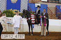 13r12_4787 proof