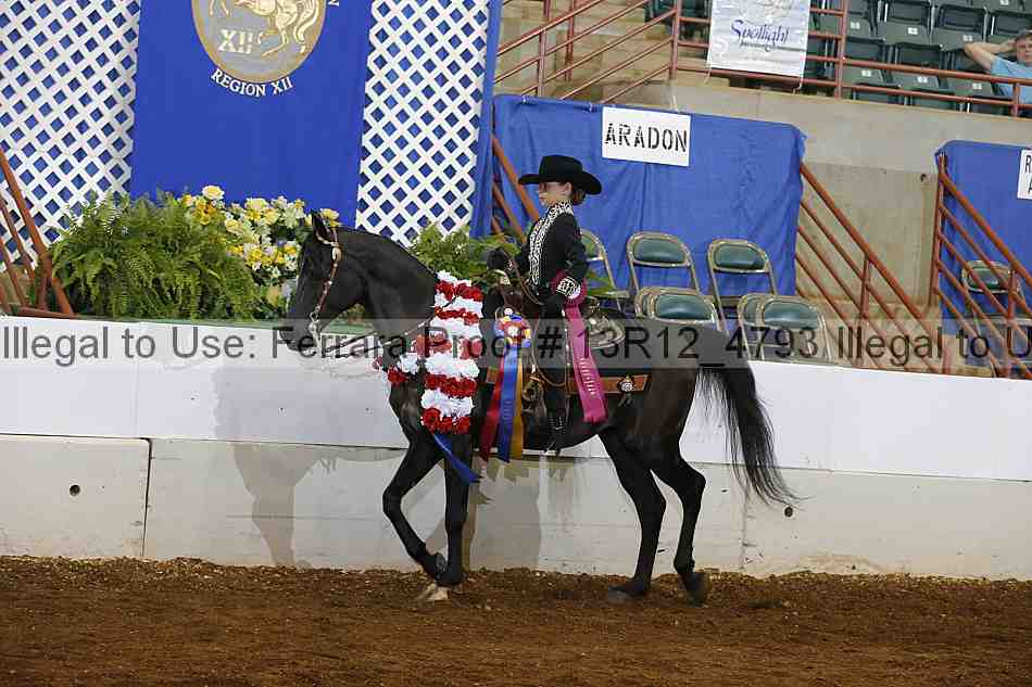 Proof 13r12_4793