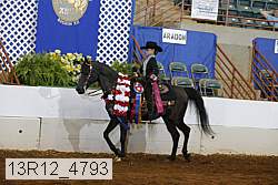 13r12_4793 proof