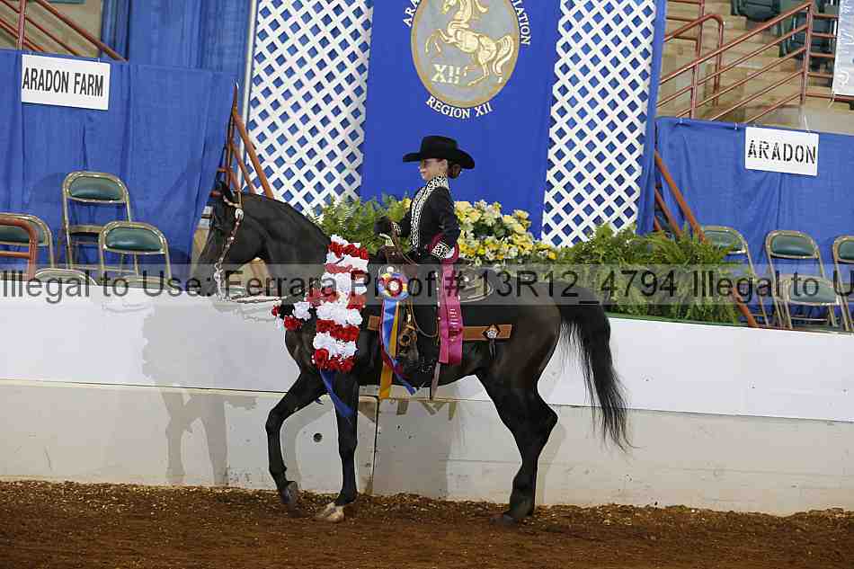 Proof 13r12_4794