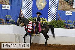 13r12_4794 proof