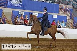 13r12_4798 proof