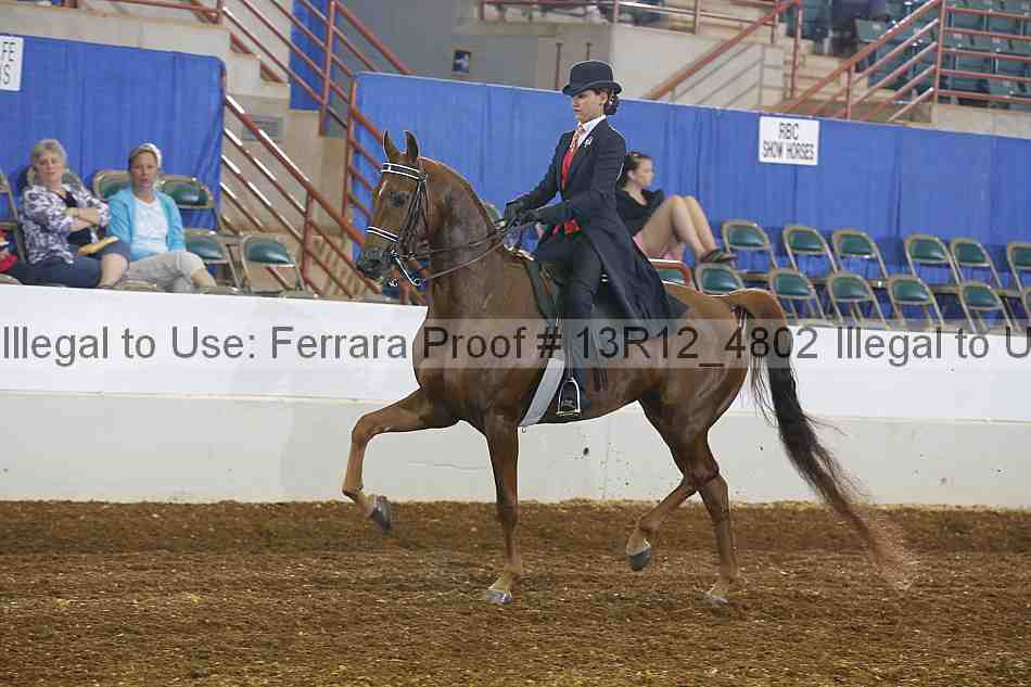 Proof 13r12_4802