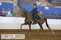 13r12_4802 proof