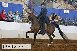 13r12_4805 proof