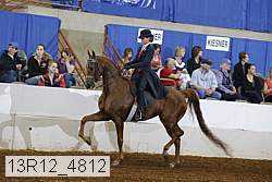 13r12_4812 proof
