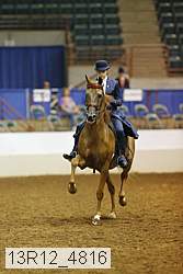13r12_4816 proof