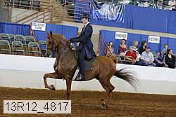 13r12_4817 proof