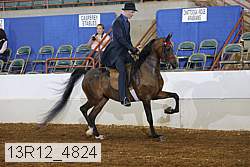 13r12_4824 proof