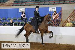 13r12_4825 proof