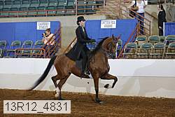 13r12_4831 proof