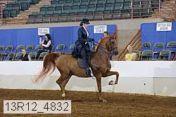 13r12_4832 proof