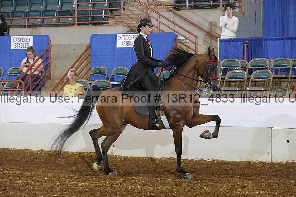 Proof 13r12_4833