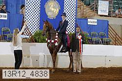 13r12_4838 proof