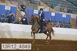 13r12_4849 proof