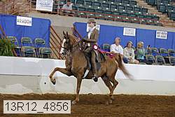 13r12_4856 proof