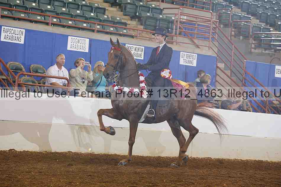 Proof 13r12_4863