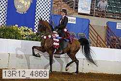 13r12_4869 proof