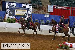 13r12_4875 proof