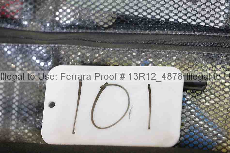 Proof 13r12_4878
