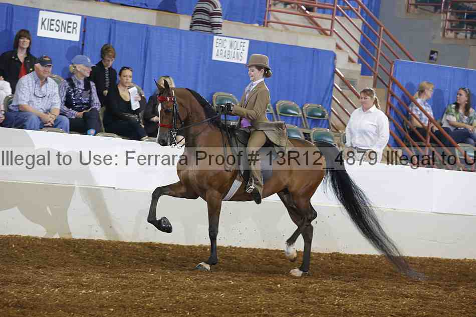 Proof 13r12_4879