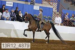 13r12_4879 proof