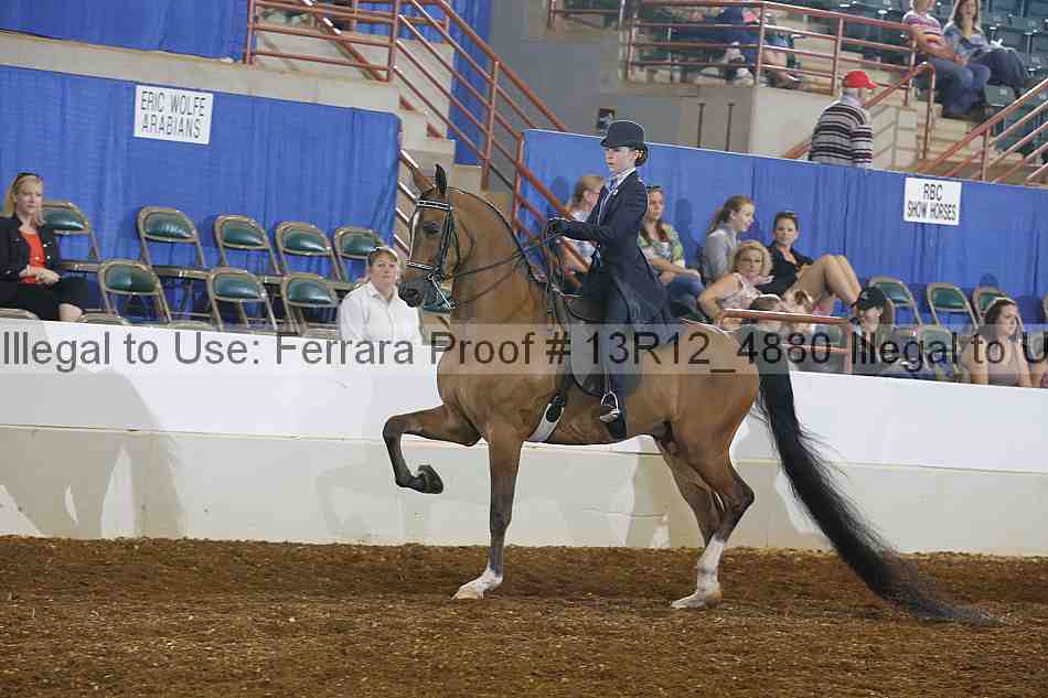 Proof 13r12_4880