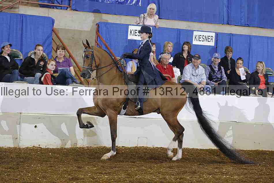 Proof 13r12_4881