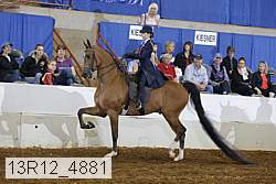 13r12_4881 proof