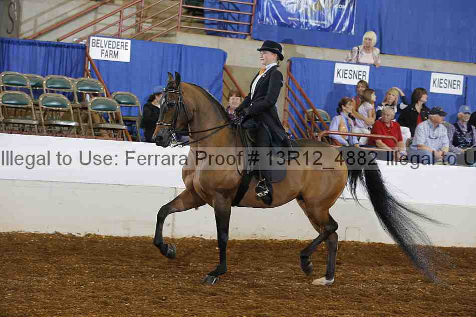 Proof 13r12_4882