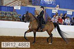 13r12_4882 proof
