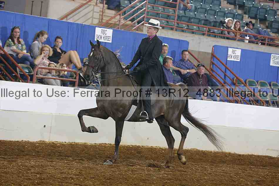 Proof 13r12_4883