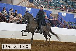 13r12_4883 proof