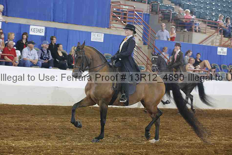 Proof 13r12_4890