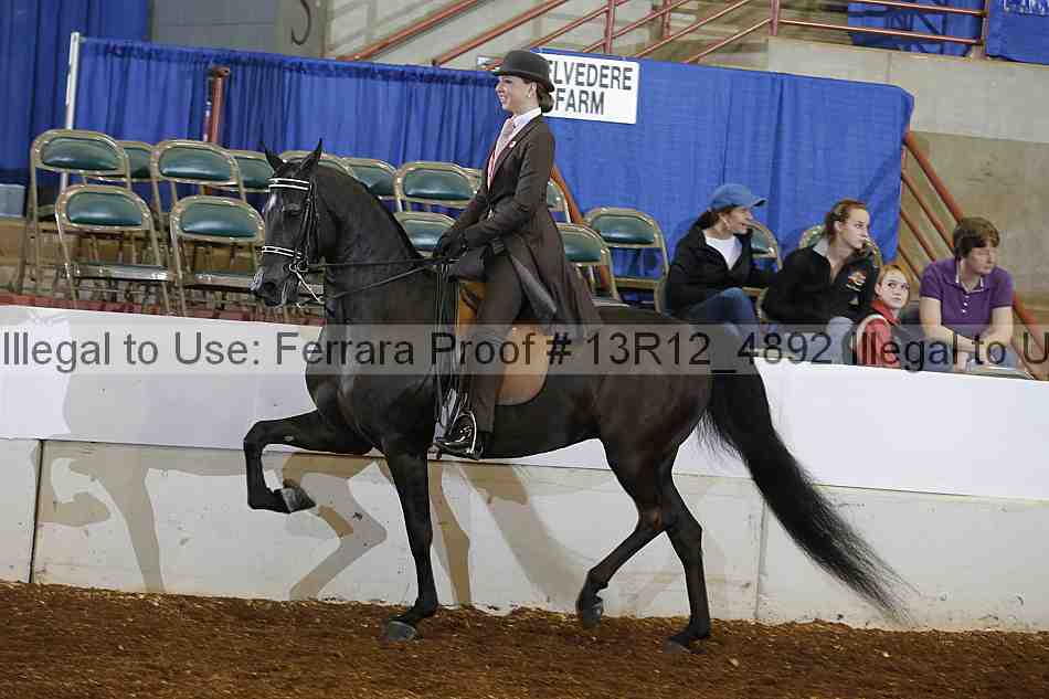 Proof 13r12_4892