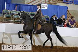 13r12_4892 proof