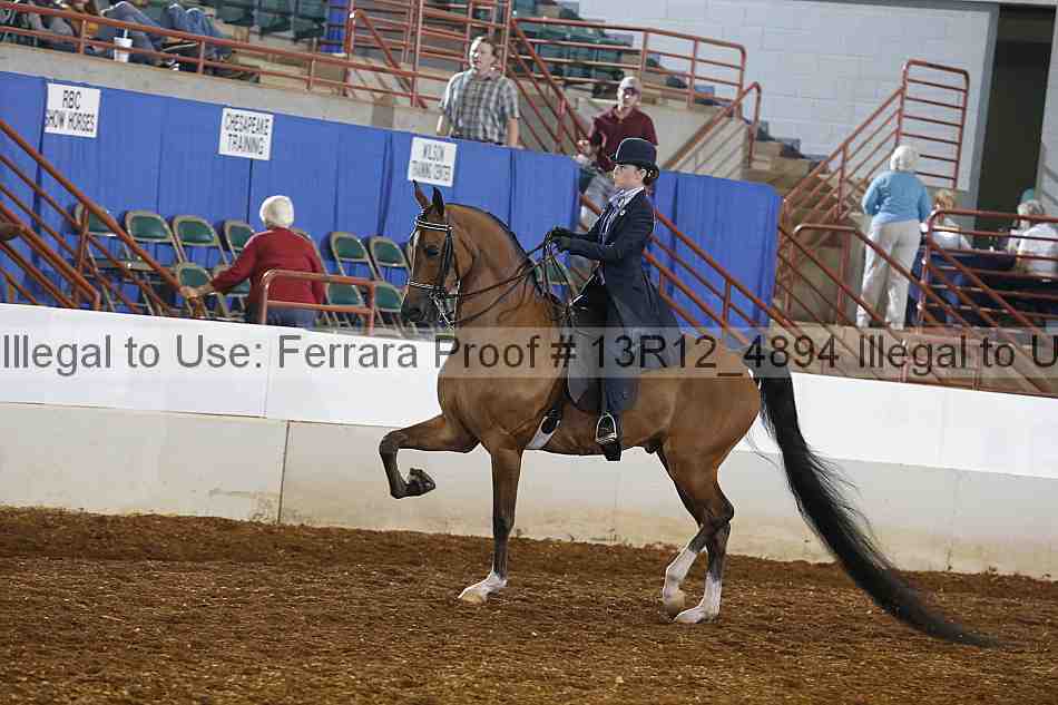Proof 13r12_4894